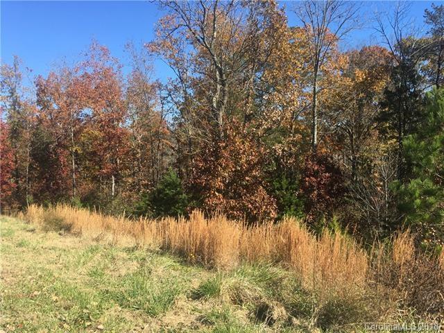 441 Swift Creek Cove - Photo 1
