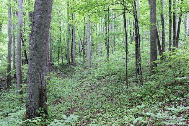 916 Red Wolf Run - Photo 1