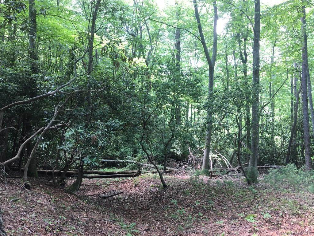 51 Misty Valley Parkway - Photo 1