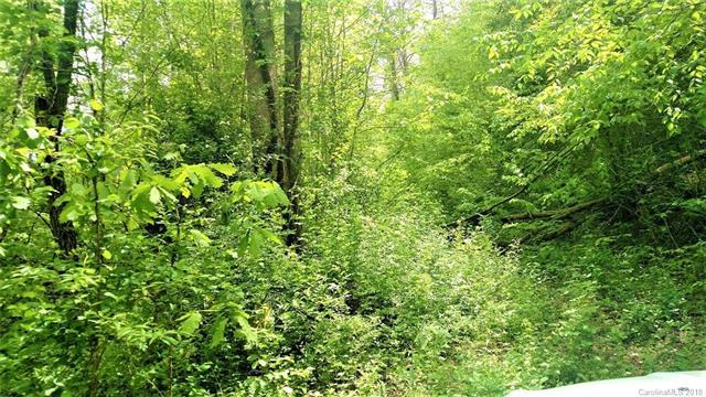 0000 Shelton Creek Road - Photo 1
