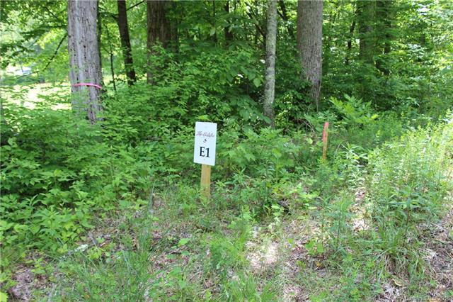 TBD Sanctuary Trail - Photo 1