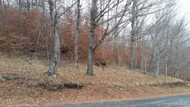 00 Mule Trail Drive - Photo 1