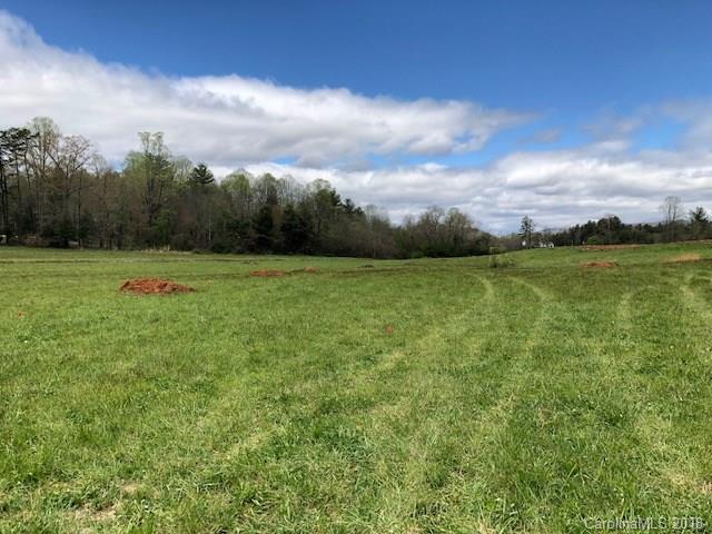 Lot 4 Chestnut Gap Road - Photo 1