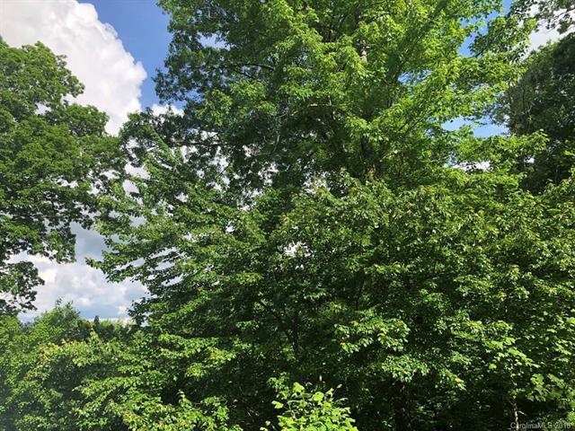 00000 Deer Ridge Run - Photo 1