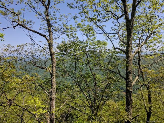 29 acres Miranda Knoll - Photo 1