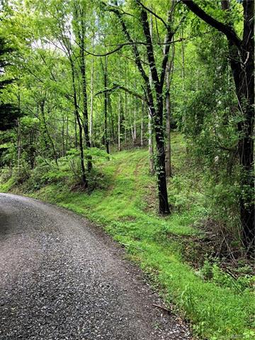 99999 Sleepy Gap Road - Photo 1