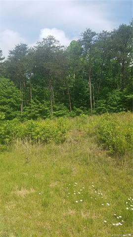 00 Sweet Cherry Lane - Photo 1