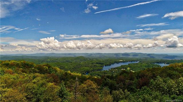 Lot 41r Panthertown Road - Photo 1