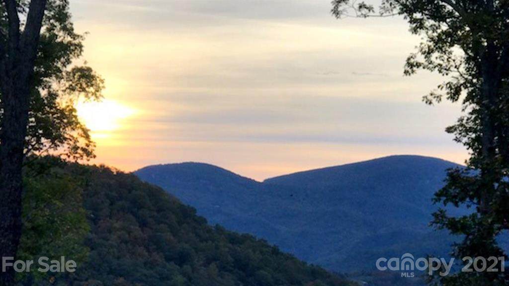 000 Butler Ridge Trail - Photo 1