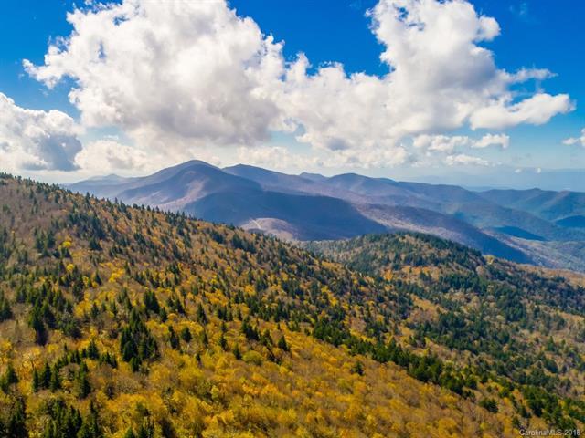 0 Balsam Gap - Photo 1