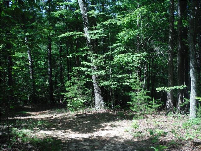 0 Cane Creek Mountain Road - Photo 1