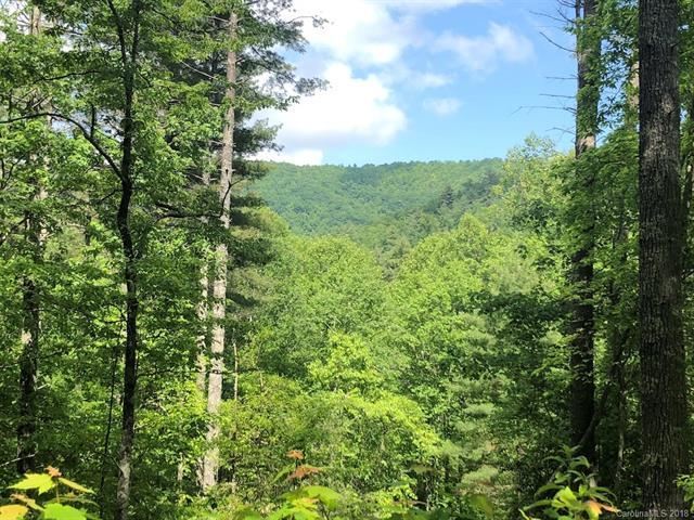 Lot 23 Camellia Trail - Photo 1