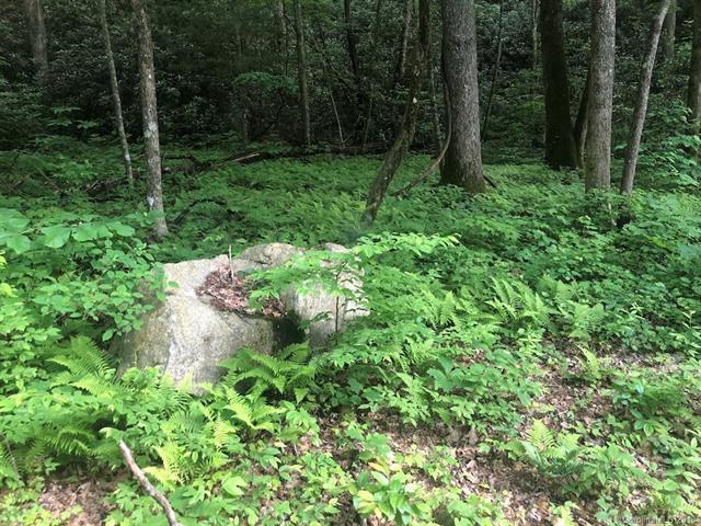 Lot 96R Peppervine Circle - Photo 1