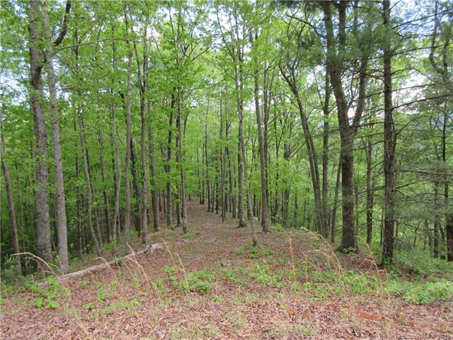 154 Turkey Trot Trail - Photo 1