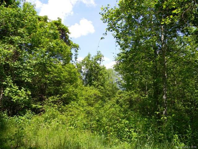 Lot 621 Kitty Lane - Photo 1