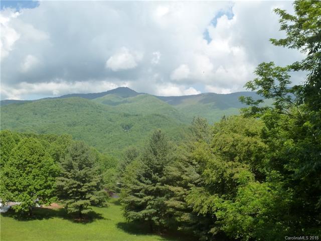 TBD Balsam Meadows Road - Photo 1