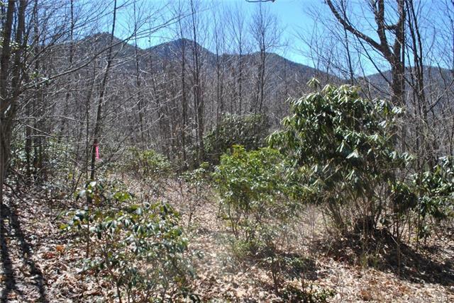 00 Chickadee Lane - Photo 1