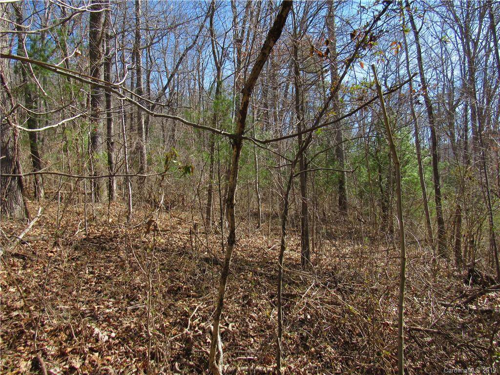 0000 Herron Cove - Photo 1