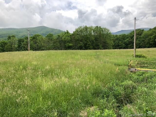 3765 Fork Mountain Road - Photo 1