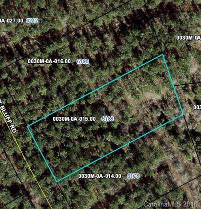 6188 Chimney Bluff Road - Photo 1