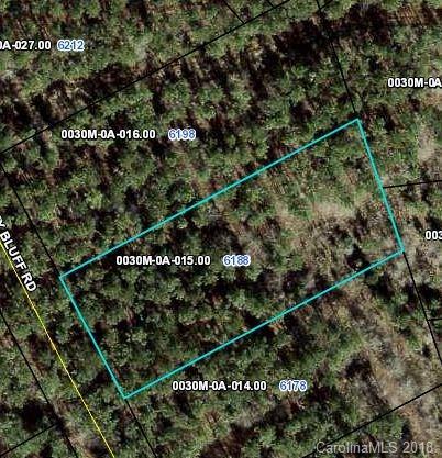 6188 Chimney Bluff Road - Photo 1