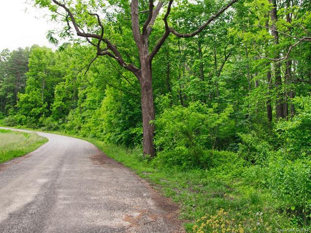 00 Brigman Road - Photo 1
