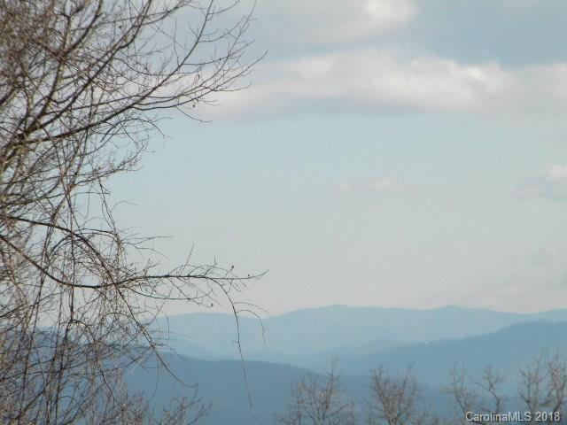 100 Early Frost Point - Photo 1