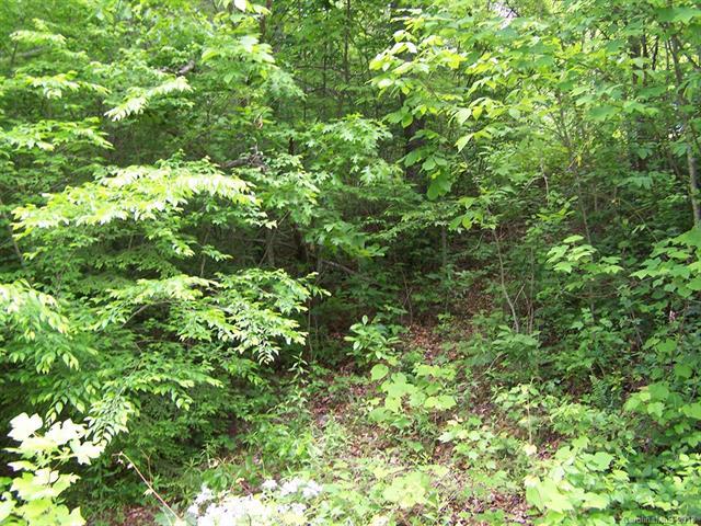 Lot 93 Denman Drive - Photo 1