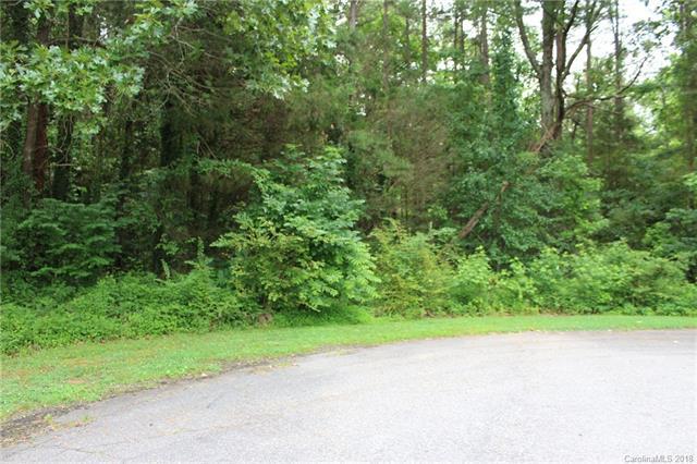 00 Wandering Woods Lane - Photo 1
