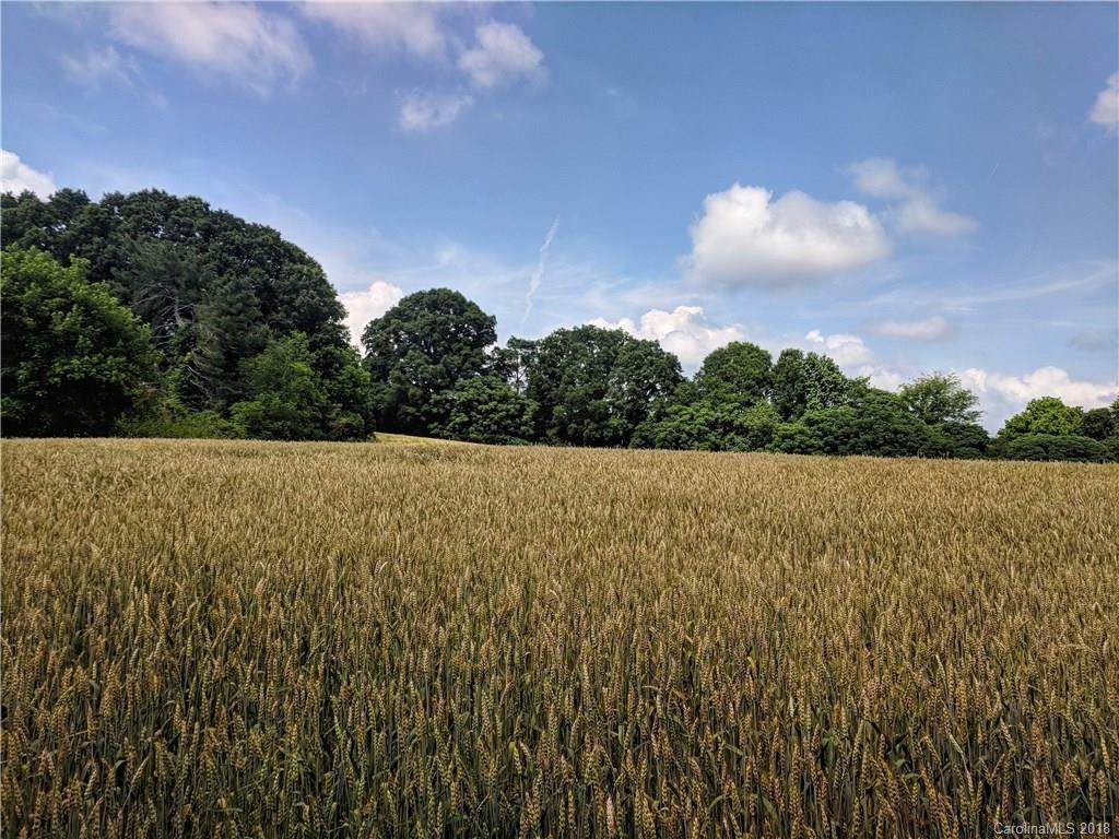 0000 Morgan Mill Road - Photo 1