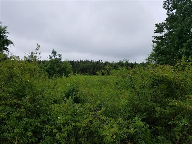 1491 Fox Dairy Road - Photo 1