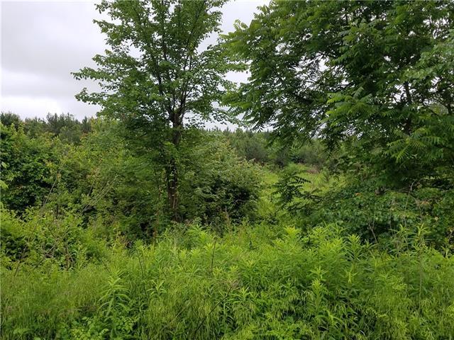 1513 Fox Dairy Road - Photo 1