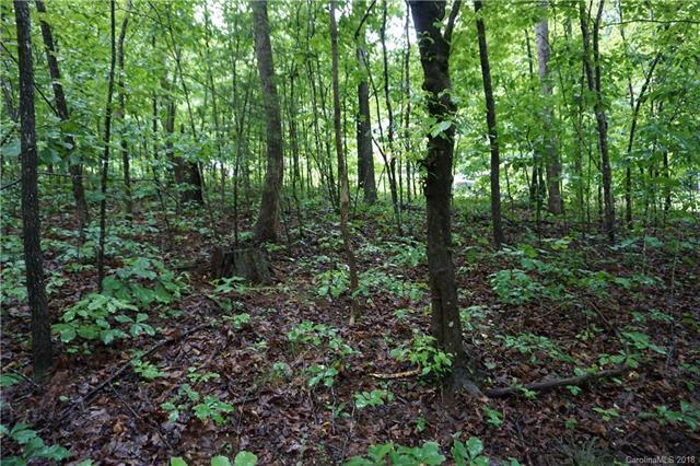 Lot # 31 Bent Tree Drive - Photo 1
