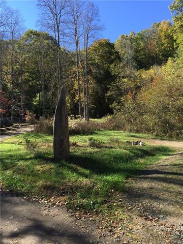 401 Haw Branch Road - Photo 1