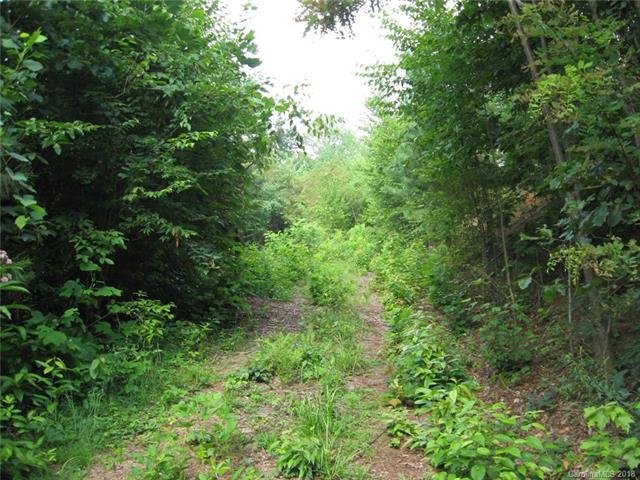 14 Junebug Trail - Photo 1
