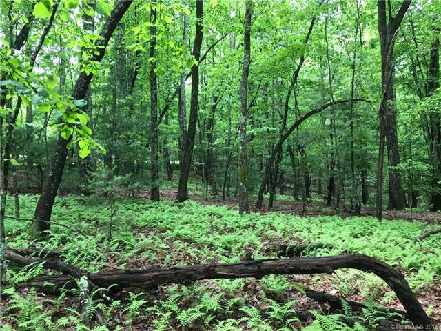 TBD Sassafras Road - Photo 1