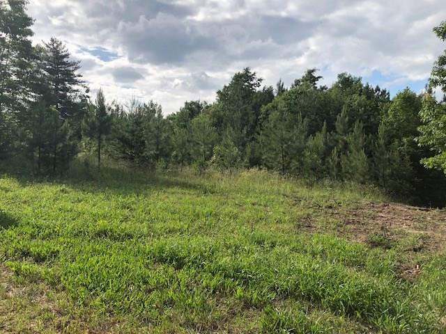 0 Cindy Ridge Road - Photo 1