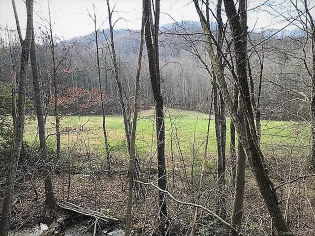 00 Yellow Creek Road - Photo 1
