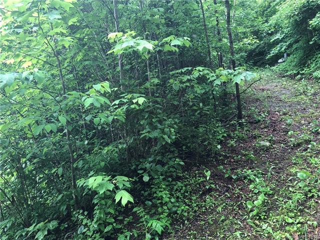 TBD Pointer Trail - Photo 1