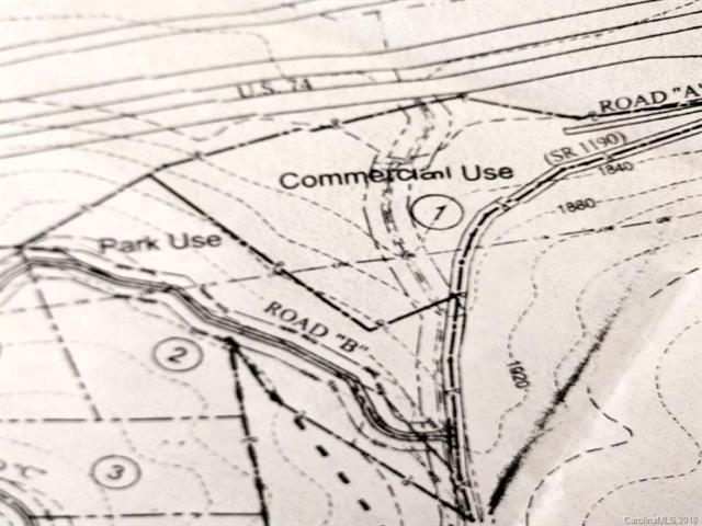0 Falls Branch Road - Photo 1