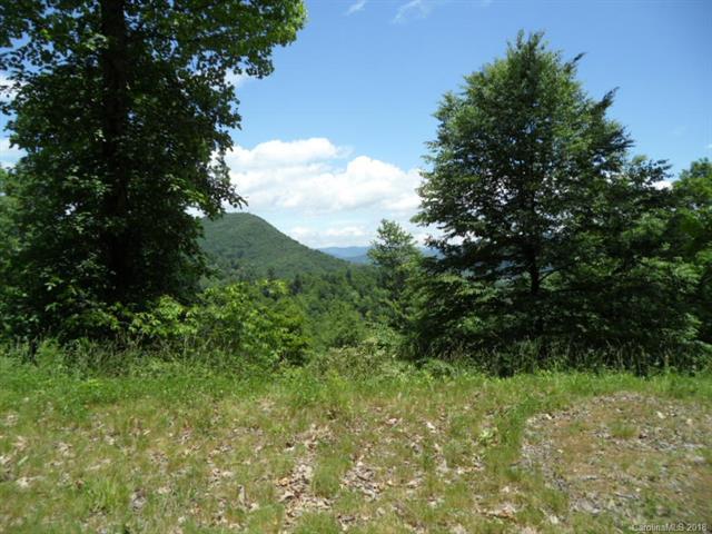 Lot 110 Braeburn Way - Photo 1
