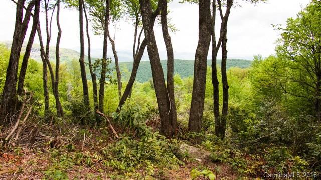 C 5 Toxaway Drive - Photo 1
