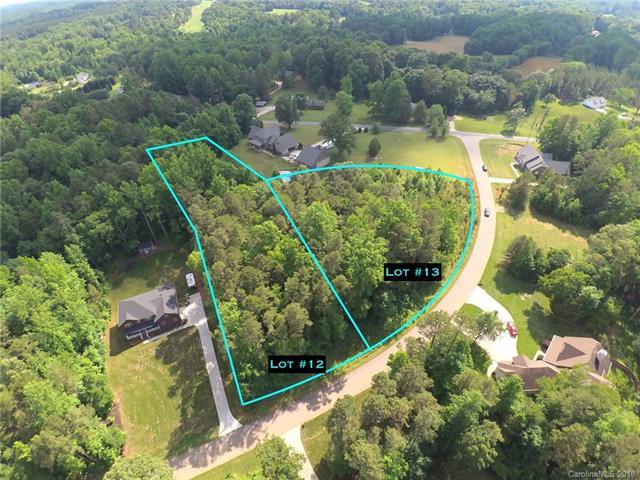 000 Raymonds Creek Drive - Photo 1