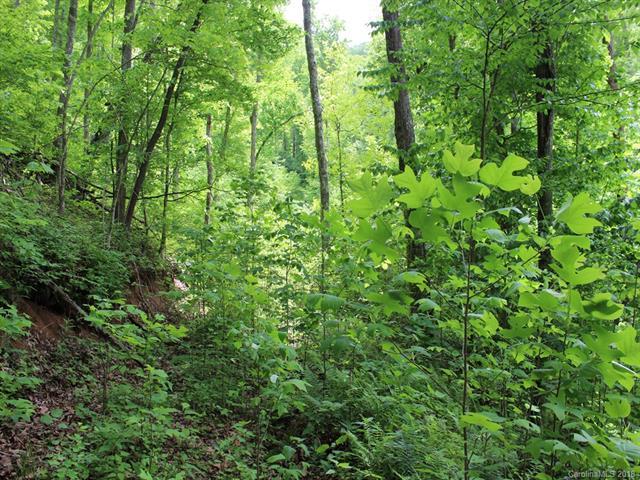 0 Upper Pig Pen Road - Photo 1