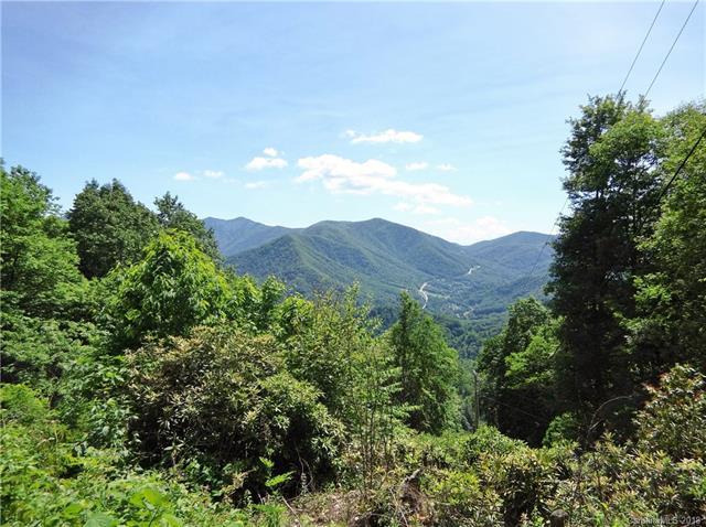 Lot 2B off Scenic View Lane - Photo 1
