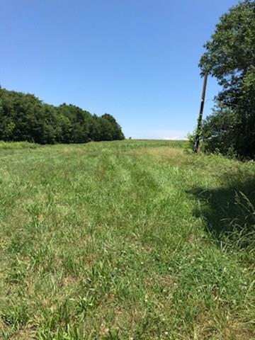 00 Polkville Road - Photo 1