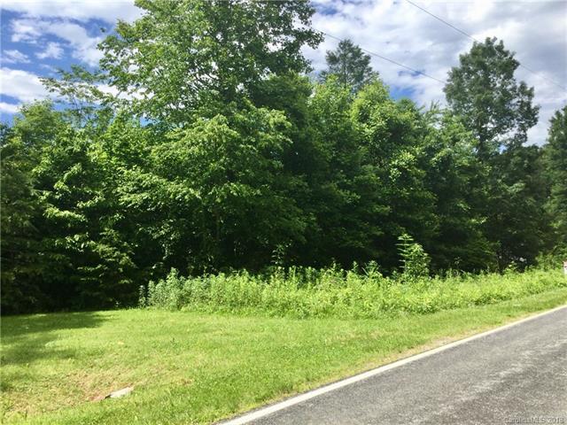 V/L Henry Mccall Road - Photo 1