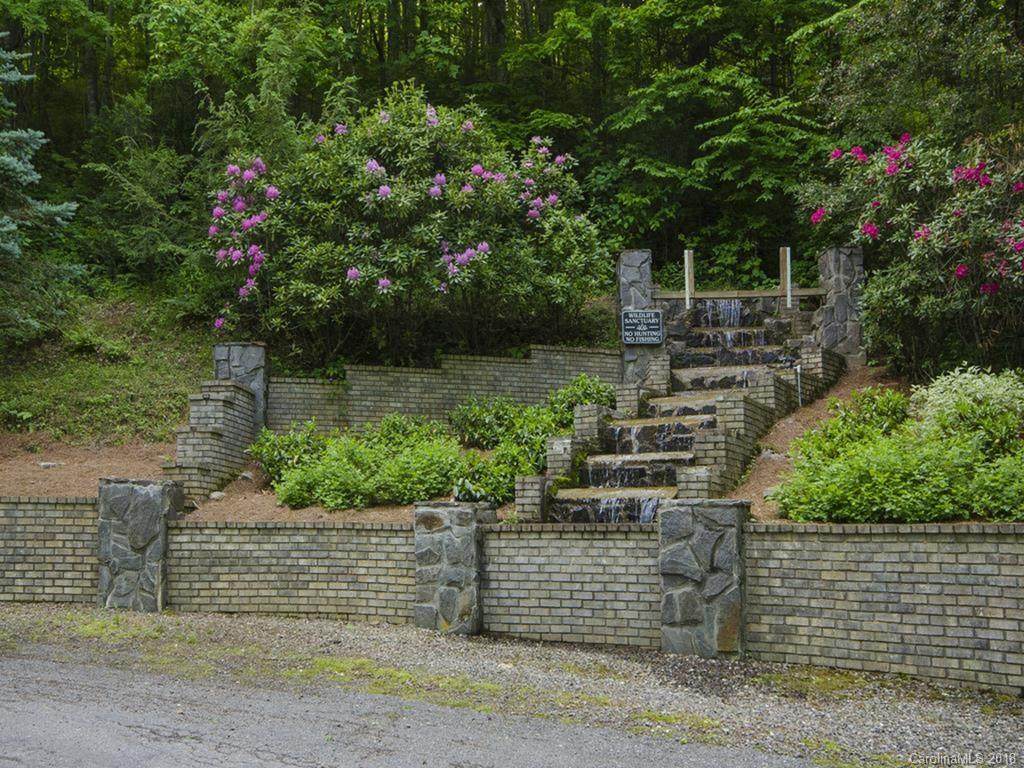Lot 48 Divit Road - Photo 1