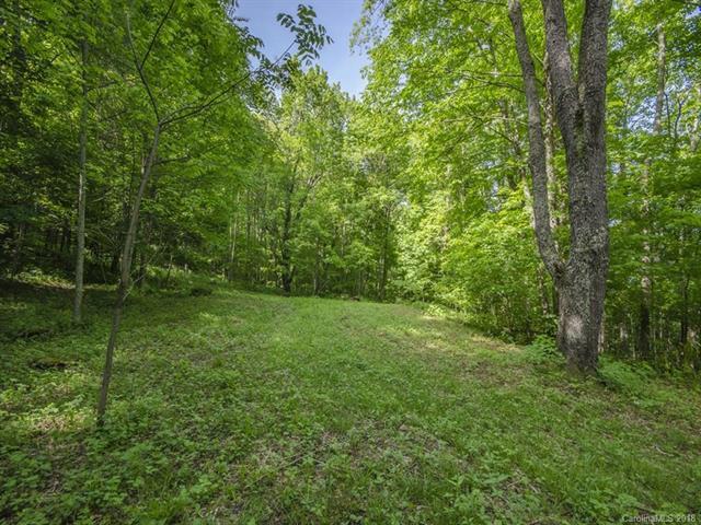 Lot 48 Divit Road - Photo 1