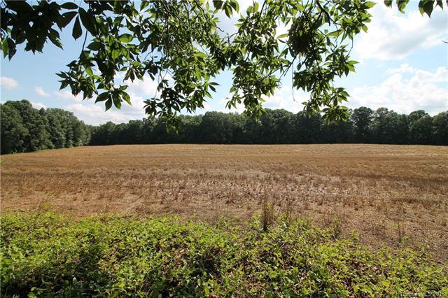 00 Old Pageland Marshville Road - Photo 1